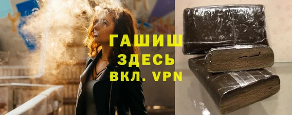 хмурый Абаза