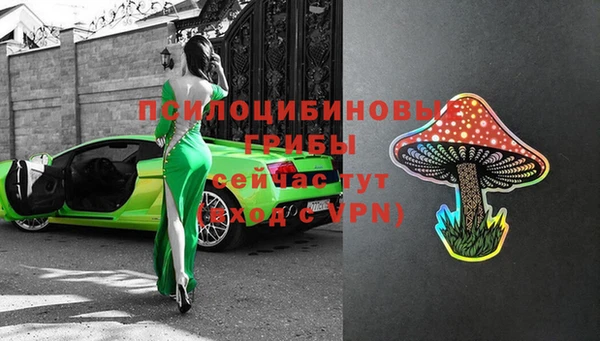 хмурый Абаза