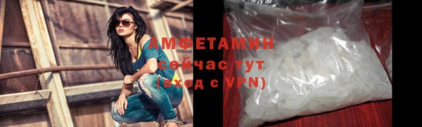 хмурый Абаза