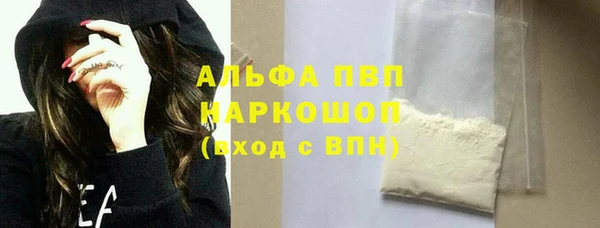 хмурый Абаза