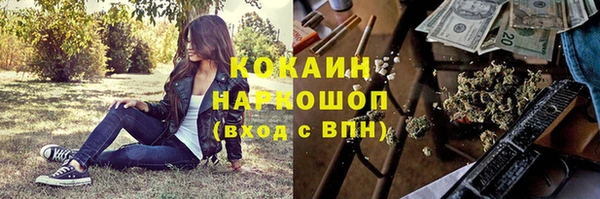хмурый Абаза