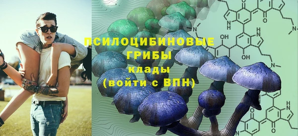 хмурый Абаза