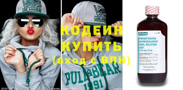 хмурый Абаза