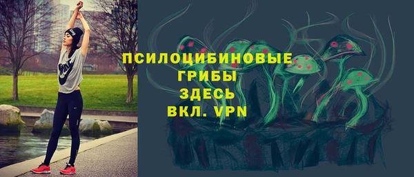 хмурый Абаза