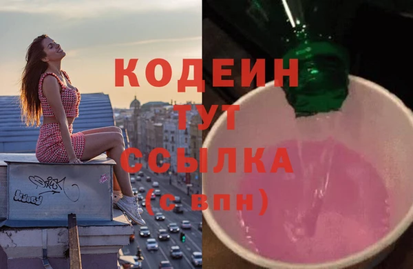 хмурый Абаза